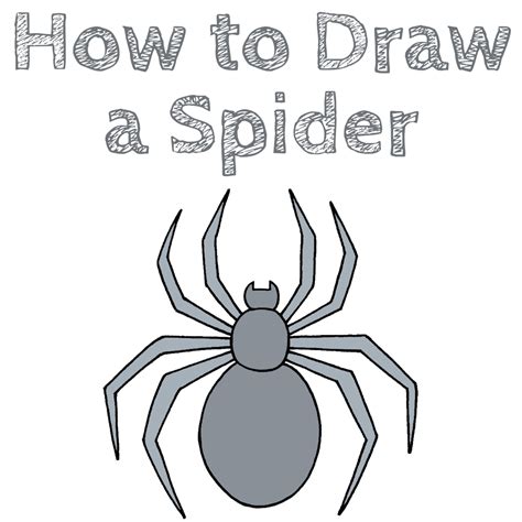 How To Draw Spider. Simple Tutorial.