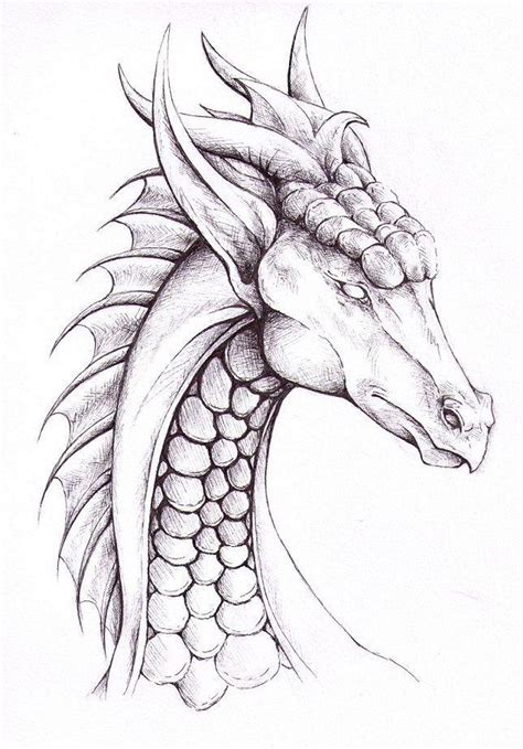 Free Easy Drawings And Sketches Dragon For Beginner