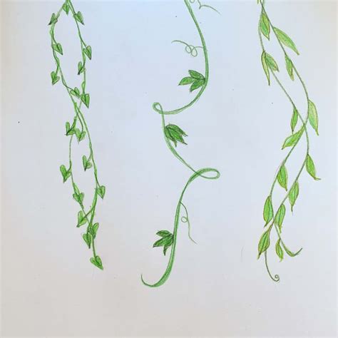 Easy Flower Vine Drawing