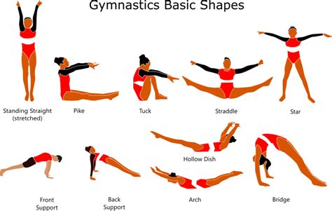 What Are Some Easy Gymnastics Moves For Beginners?