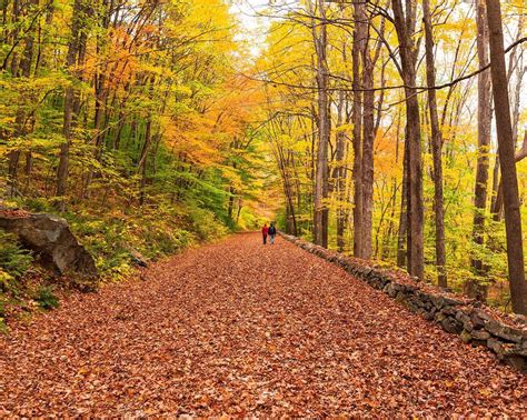 easy hikes in ct