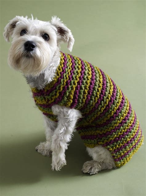 Easy Knitting Patterns For Dogs