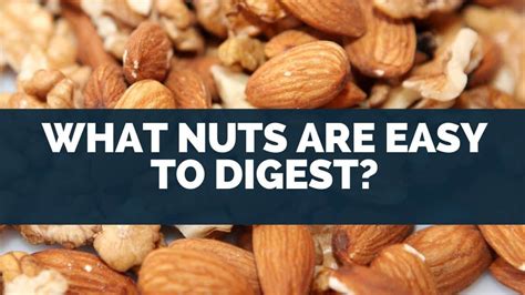 Easy Nuts To Digest