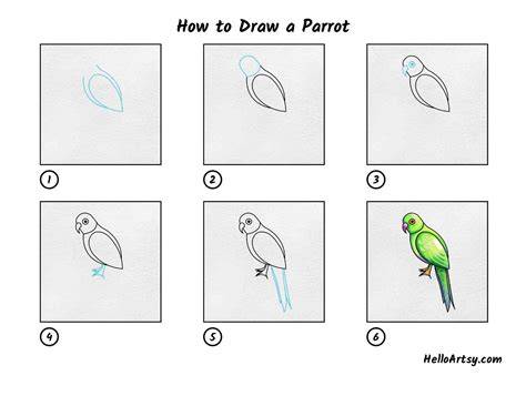  Easy Parrot Drawing Tutorial