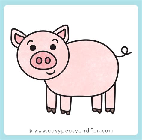 Easy Pig Drawing