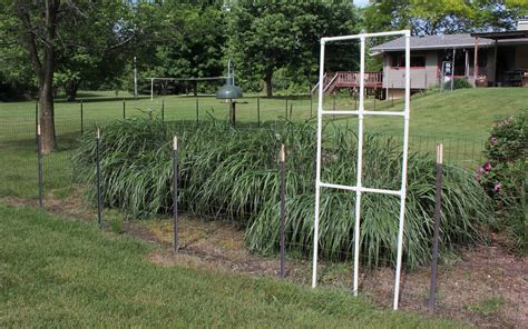 Easy Pvc Pipe Trellis