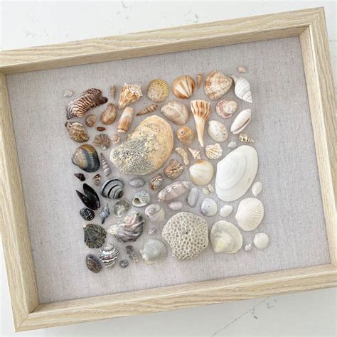 Unleash Masterful Shell Art in Minutes: Easy Techniques for Quick Design Success