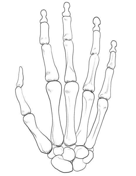 Skeleton Hand Drawing Tutorial at GetDrawings Free download