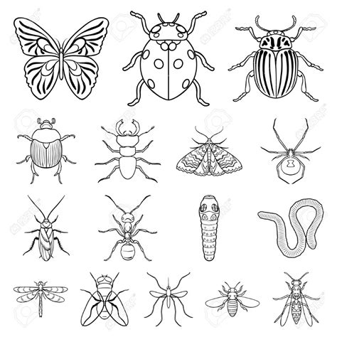Free Easy Sketch Drawings Insect For Beginner