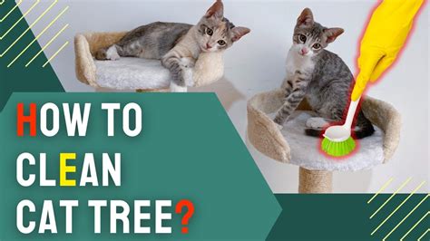 Easy To Clean Cat Tree