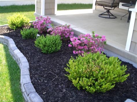 easy to maintain outdoor plants