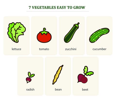 6 Easy to Grow Vegetables for Beginners Easy vegetables to grow