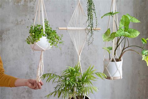 Easy Ways To Hang Plants