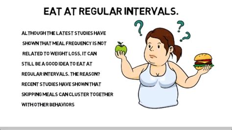 eat at regular intervals