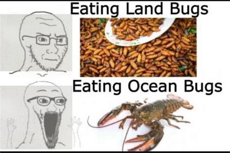 eat bugs meme