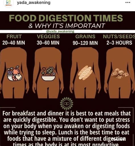 Eating at Night and Digestive System Image