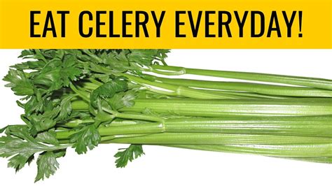 Eating Celery After Workout