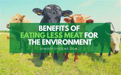 Eating Meat Good For Environment