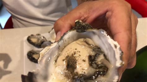 Eating Oysters Live