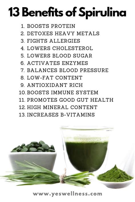Eating Spirulina Benefits