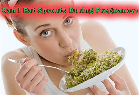 eating sprouts while pregnant