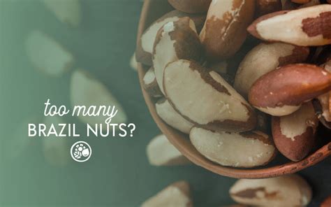 eating too much brazil nuts
