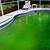 eau verte piscine bicarbonate de soude