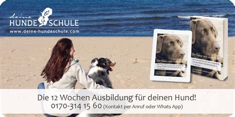 Liebevolle und professionelle Hundebetreuung in Eimsbüttel Hamburg