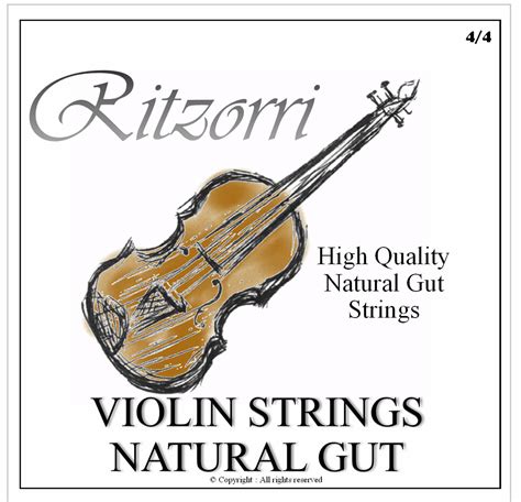 Ebay Violin Strings