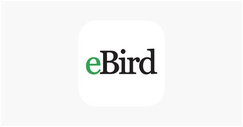 ebird app for ipad