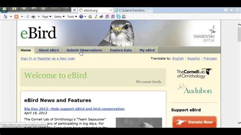 Ebird Youtube