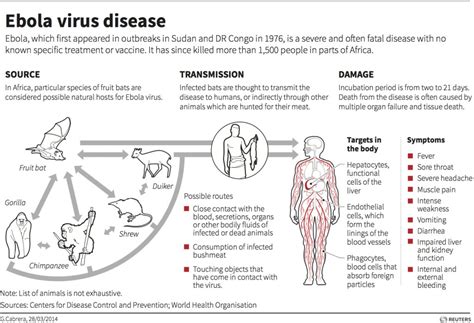 Ebola Causes Death Through