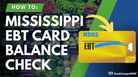Unlocking Benefits: Understanding Your EBT MS Number Explained
