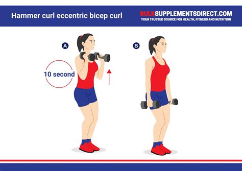 Eccentric Hammer Curl Exercise