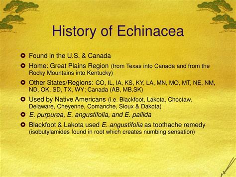 Echinacea Origin