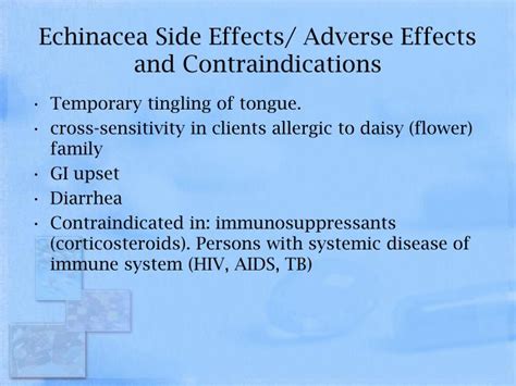 Echinacea Side Effect