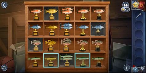 Echo Bay Fish Puzzle