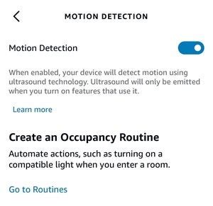 Echo Dot Motion Detection Routine