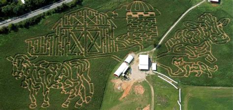 echo valley corn maze