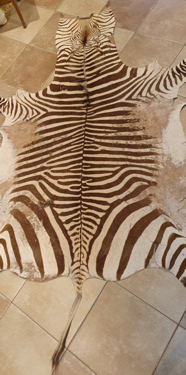 Zebrafell Reststück zebrazebra