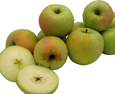 Eckert's Apples