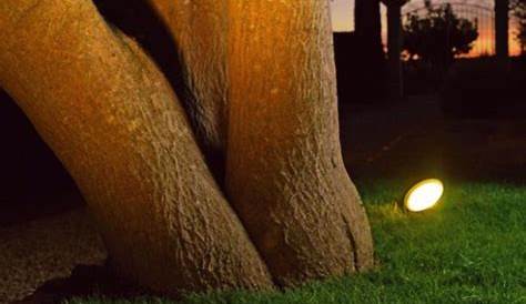 Eclairage Jardin Arbre Éclairage Extérieur à LED En 50 Idées De Luminaire De