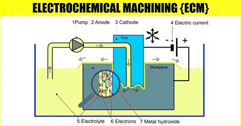 Ecm Meaning In Generator