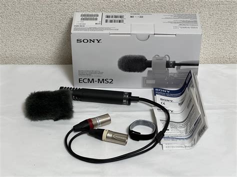 Sony ECMMS2 Microphone Test YouTube