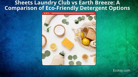 Eco Friendly Laundry Detergent Comparison