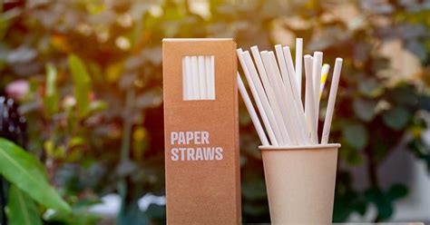 Eco Friendly Paper Straws