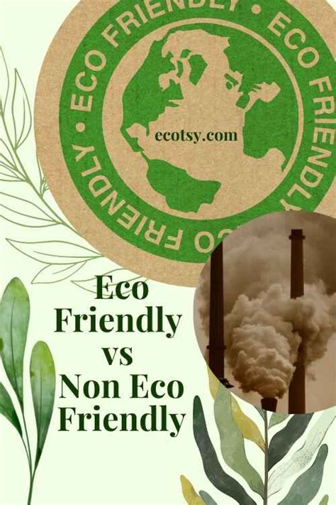 eco friendly vs environment friendly