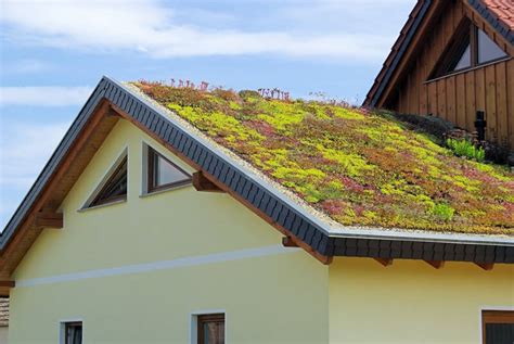vyazma.info:eco roofing and more corp