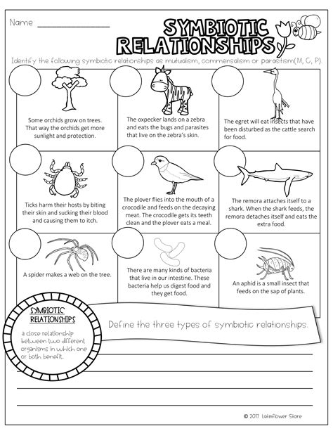ecological relationships symbiosis worksheet answers