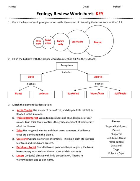 ecology review worksheet